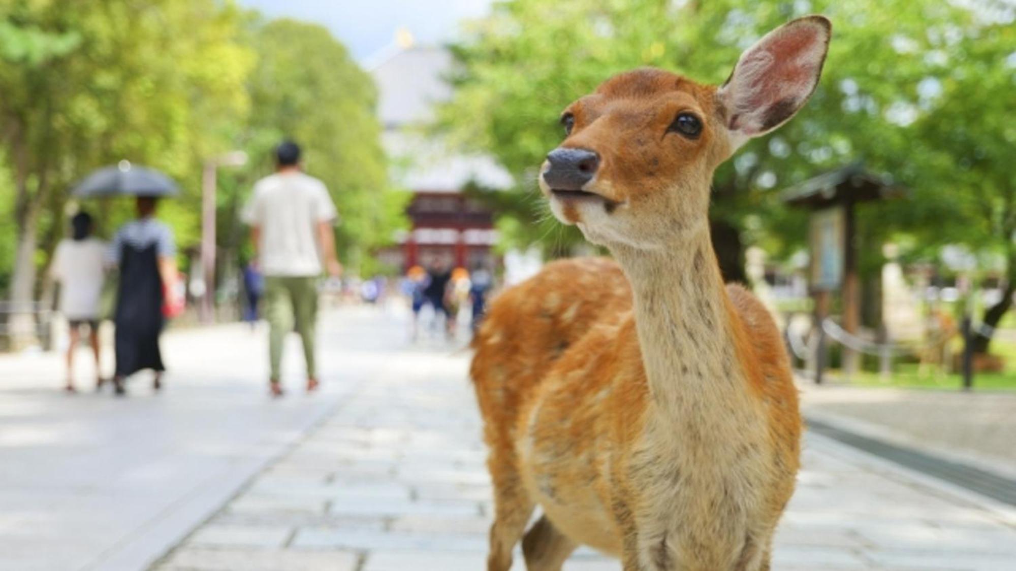 Hotel Arashi Nambaminami 大阪市 エクステリア 写真